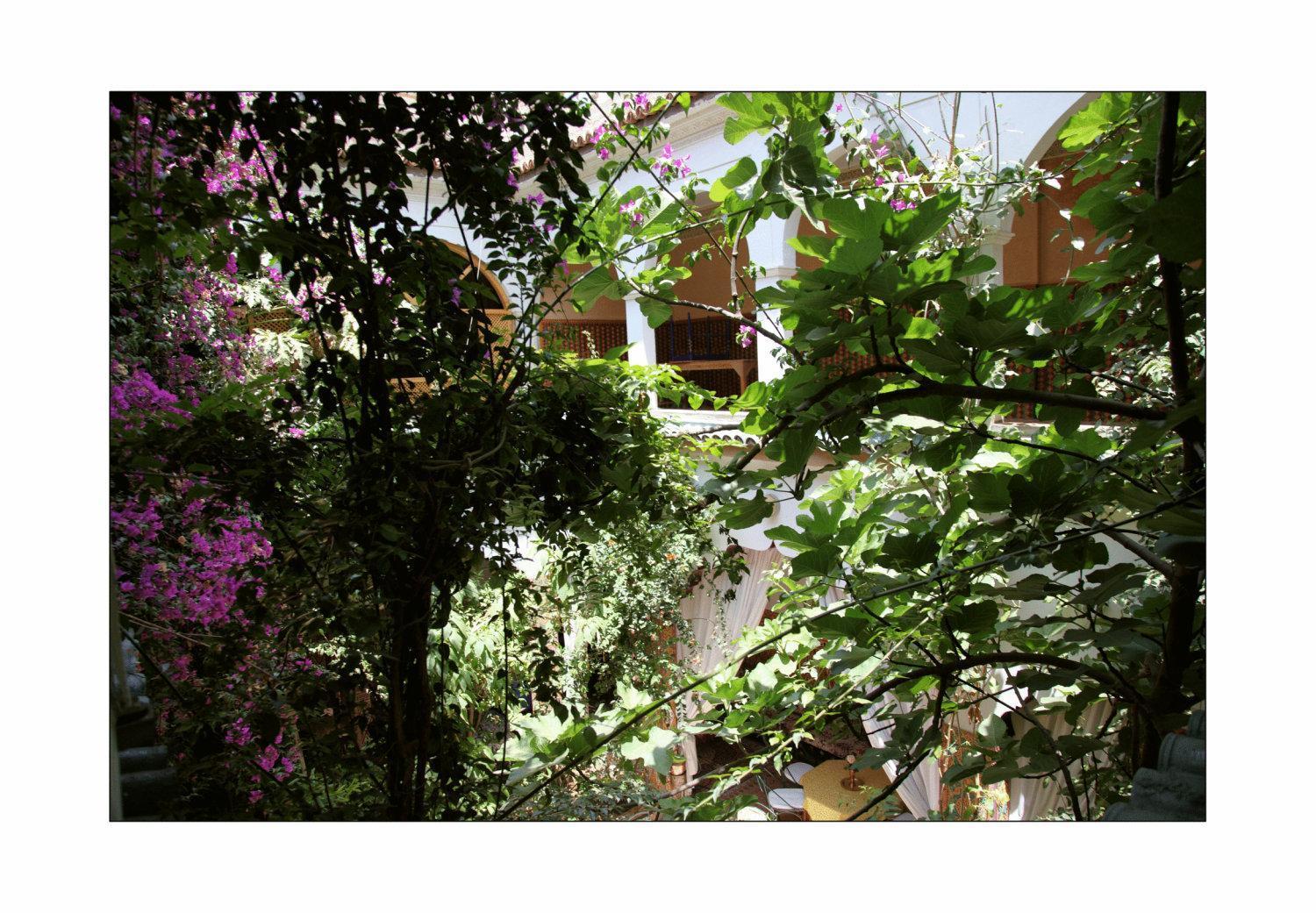 Riad Maryam Taroudant Extérieur photo